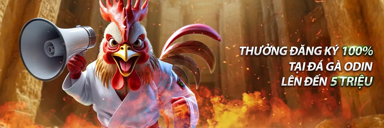 Hình ảnh tổng quan tài nguyên ta28 fun